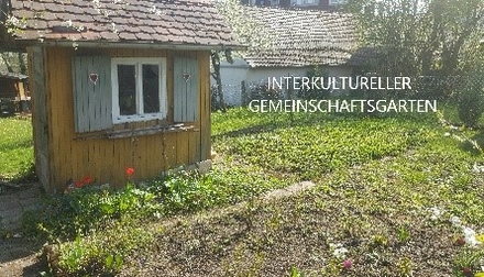 interkultureller Gemeinschaftsgarten