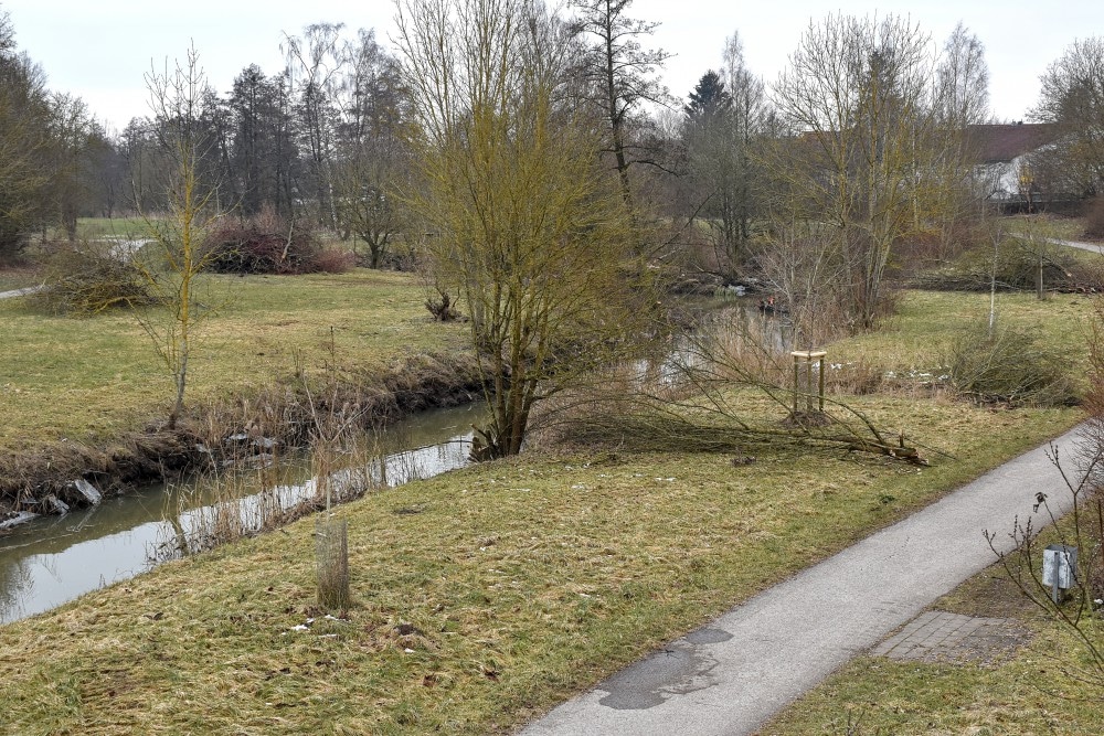 Im Zuge der jährlichen Uferpflege hat die Stadt Feuchtwangen wieder eine große Menge an Gestrüpp und beschädigten Bäumen entlang der Sulzach entfernt.