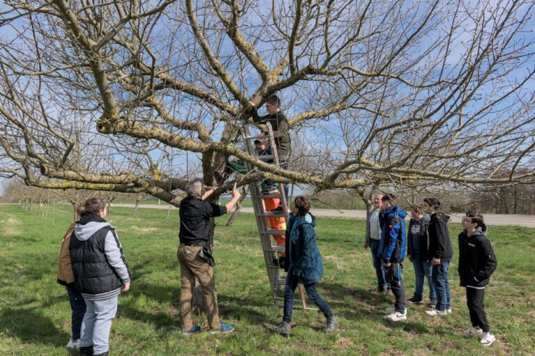 Auf Initiative ihres Schulleiters Johannes Stegmann (3.v.l.) brachten Jugendliche der Mittelschule Feuchtwangen-Land gemeinsam mit zweiten Bürgermeister Walter Soldner (5.v.r.) unter Anleitung von Stadtgärtner Christian Haag (4.v.l.) und Eva Schmid vom Landschaftspflegeverband Mittelfranken (6.v.r.) nahe des Schulgeländes neue Nistkästen für Vögel an.