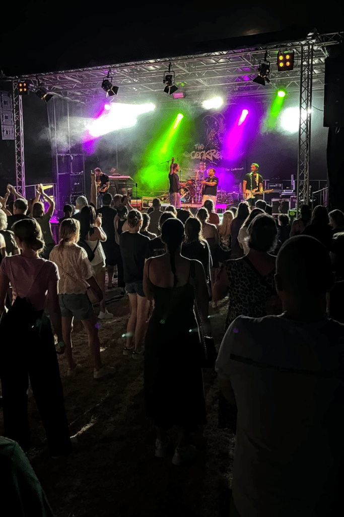 Publikum vor der Bühne beim Burning-Stausee-Festival 2026. Eine Band spielt bei Nacht im grün-lilafarbenen Scheinwerferlicht.