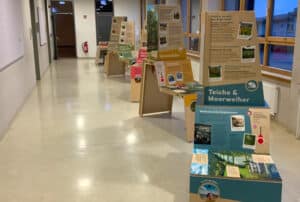 Wanderausstellung „Von Hopfengärten und Karpfenteichen“ macht Station in Feuchtwangen